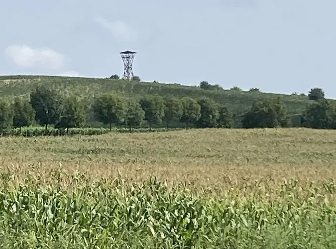 U Zuzy Velké Pavlovice