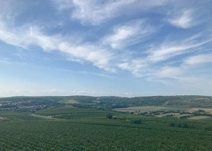 U Zuzy Lejlighed Velké Pavlovice