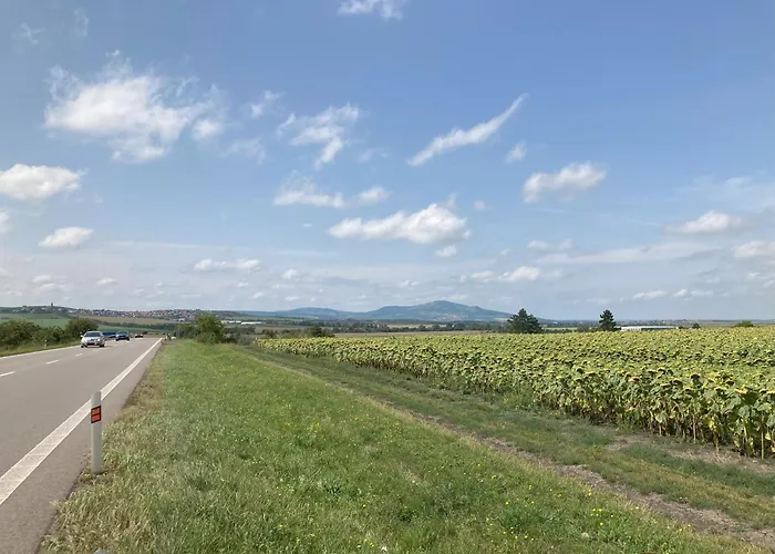U Zuzy * Velké Pavlovice